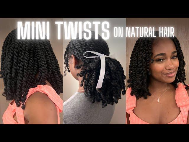 My Mini Twist Routine on Natural Curly Hair | Protective hairstyle, No heat, No hair added