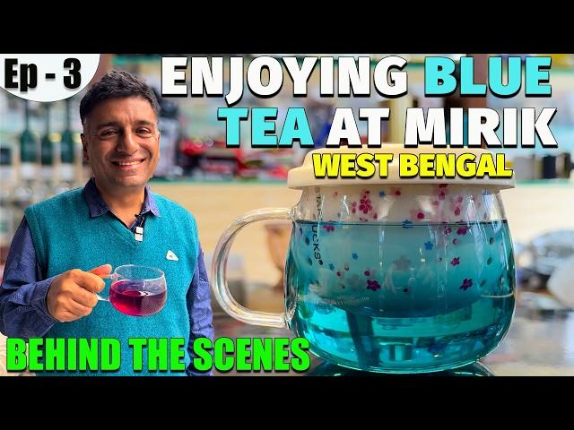 EP - 3 BTS Mirik to Darjeeling, West Bengal |  Blue Tea tasting, Nursery visit