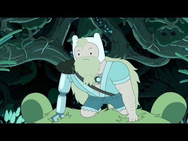 Adult Finn is insane (spoiler alert )