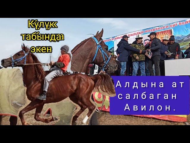 Аламан байге/ Авилон теңсиз экенин көрсөттү.