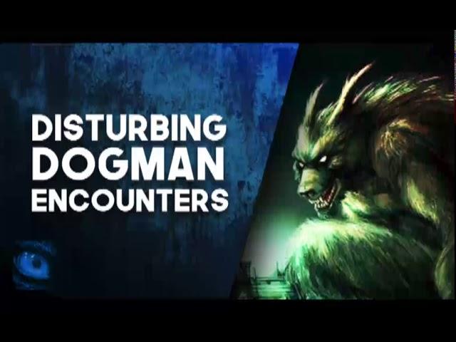 17 HORRIFYING TRUE SCARY STORIES OF DOGMAN SIGHTINGS - What Lurks Above