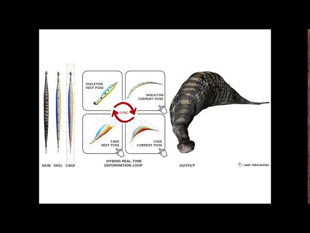 SCA2020: Real-time Deformation with Coupled Cages and Skeletons