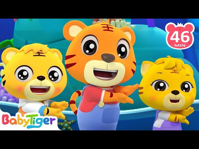 Baby Shark | + More Kids Songs | Nursery Rhymes | Kids Video - BabyTiger