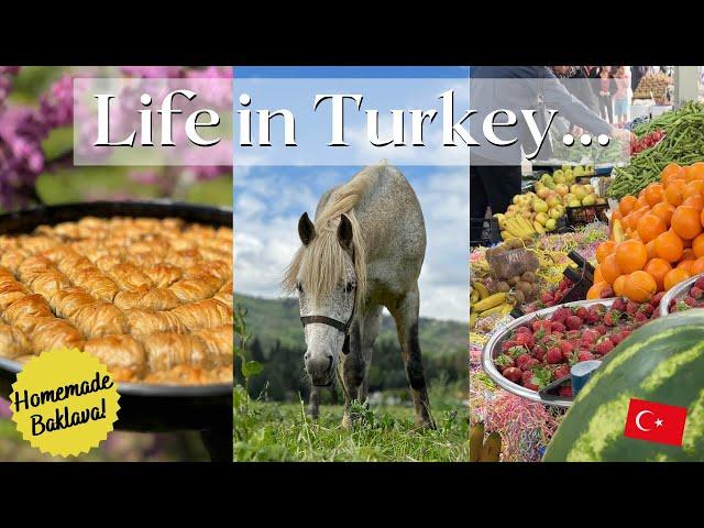 Life in Turkey | Homemade Turkish Baklava, Farmer's Market, Horses | Oh So Pom