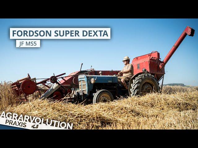 Fordson Super Dexta + JF MS5 • Wheat harvest | Agrarvolution Praxis