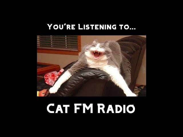 Cat FM Radio | Broadcast One