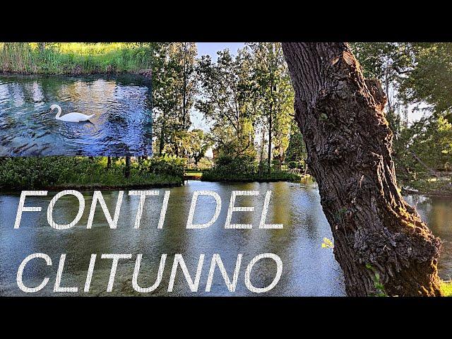 LE MAGNIFICHE FONTI DEL CLITUNNO (Campello sul Clitunno) PG