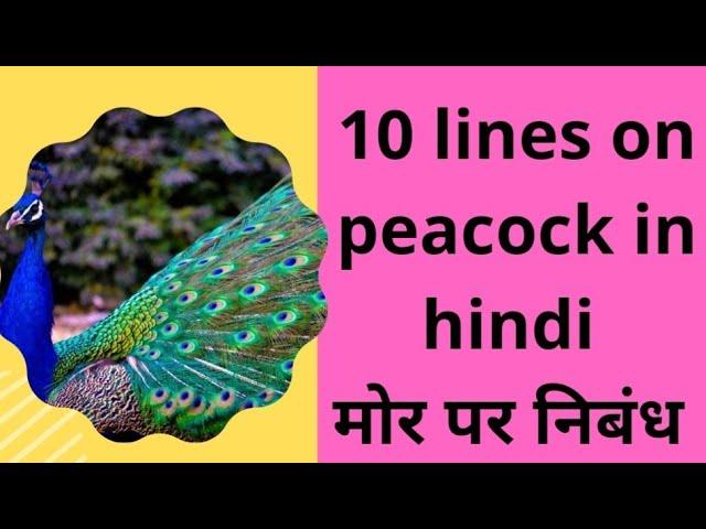 10 lines on peacock in hindi/mor par nibandh/mor par lines hindi mai/ mor par anuched/ मोर पर निबंध