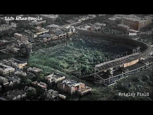 Life After People - Wrigley Field