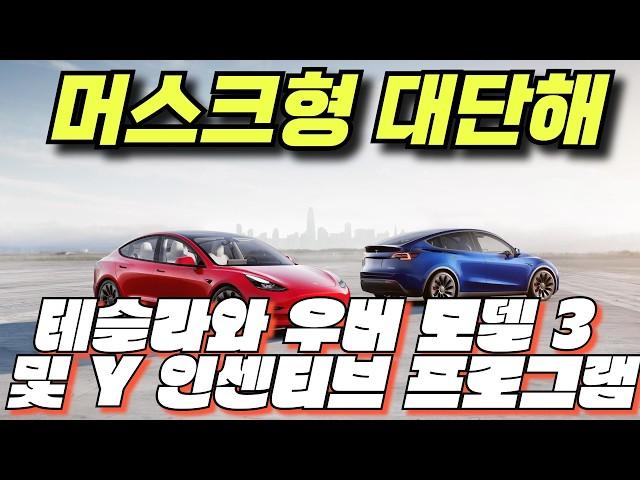 Tesla Model Y ‘Juniper’ 테슬라, 한국 올림픽 사격 선수 브랜드 앰버서더로 발탁 에드먼즈, 테슬라 모델 3 퍼포먼스의 가치에 찬사테슬라 북미 부품 비율 1위