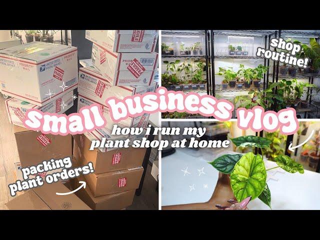 Running a Plant Store From Home Vlog🪴: Weekly Shop Restock,Greenhouse Cabinet Updates, Plant Chores