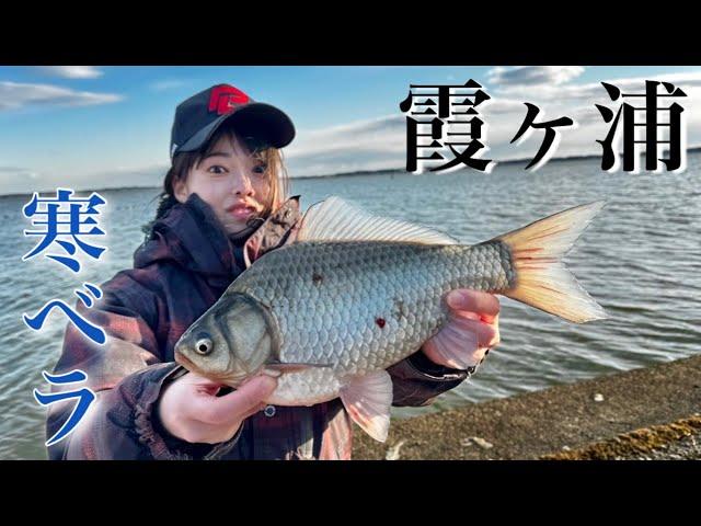 暴風が吹き荒れる霞ヶ浦でへらぶな釣りしたら乗っ込み前のヒレピン美ベラが釣れた！