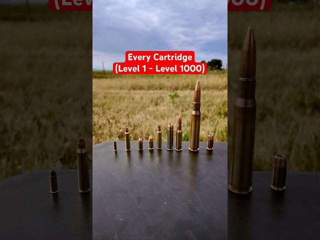 EVERY Cartridge RANKED (Level 1 - 1000) #civtac #pewpew #guns