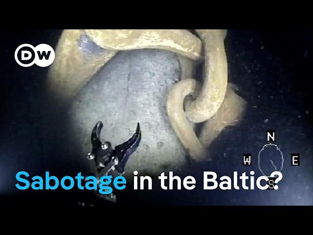 Is Russia's shadow fleet targeting critical infrastructure in the Baltic Sea? | DW News