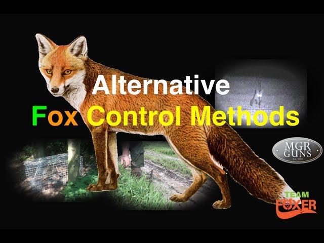 Alternative Fox Control Methods, Plus 5 Foxes Shot Using NiteSite.
