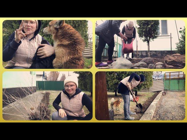 Флокс цветы посадить - Русский Жестовый Язык.