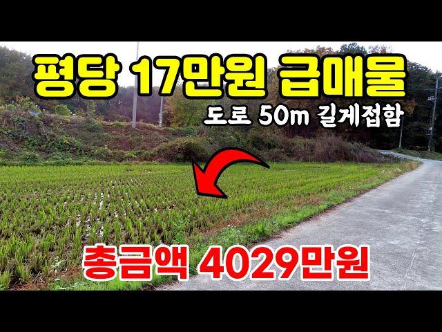 안성시 평당 17만원 반값 급매물 - 매매가 4029만원, 도로 길게 접한 토지