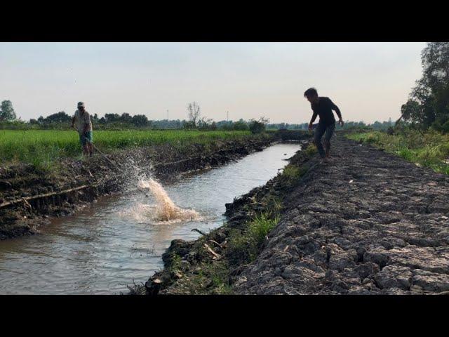 Dính Nhiều Lắm Rồi Tâm Ơi || Net fishing in the river