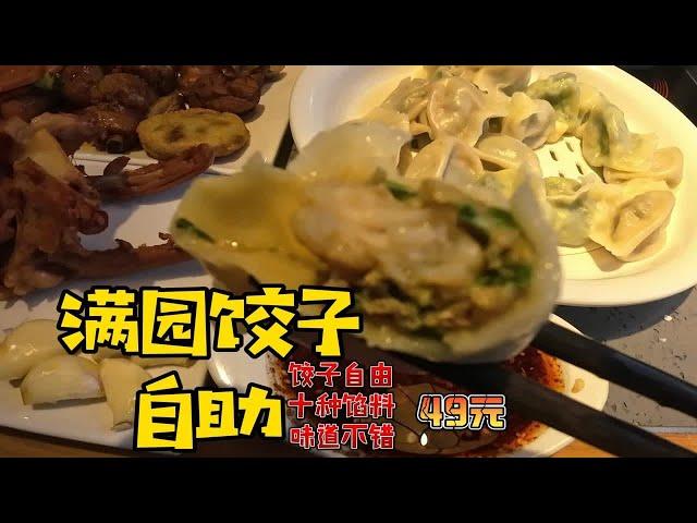 满园饺子自助 49元一位 十种馅料 饺子自由 性价比高 味道不错