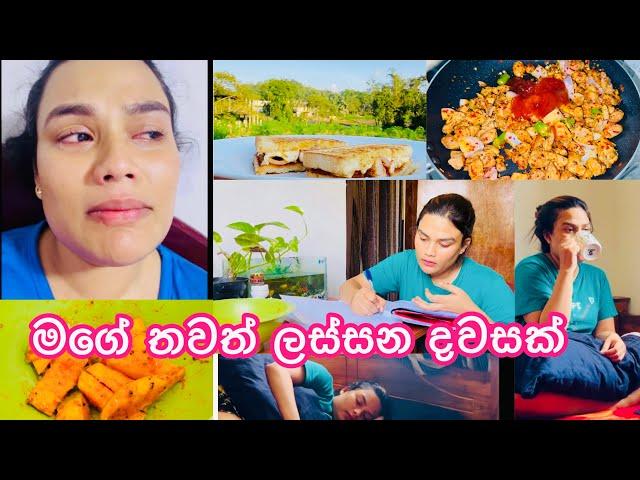 බෝඩිමේ තනියම ගෙවන ලස්සන දවසක් |My Day Vlog #vlog #vlogger #dayinmylife #dayinthelife #mealprep