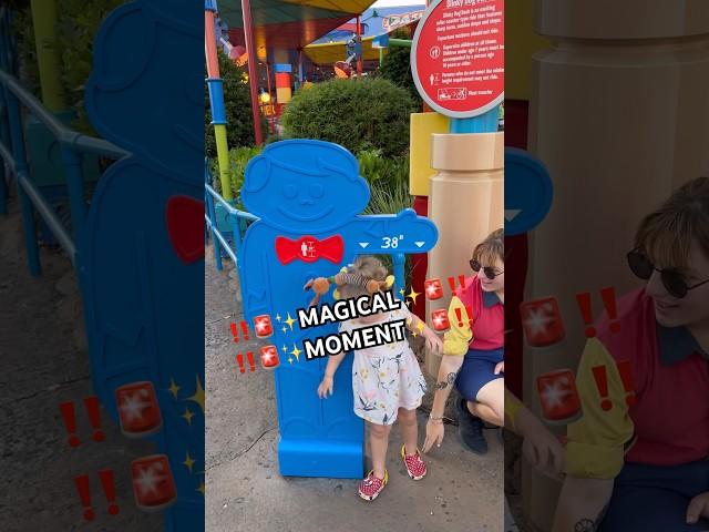 A Core Memory at Hollywood Studios  #disney #disneyworld #corememory #goodnews #happy #slinkydog
