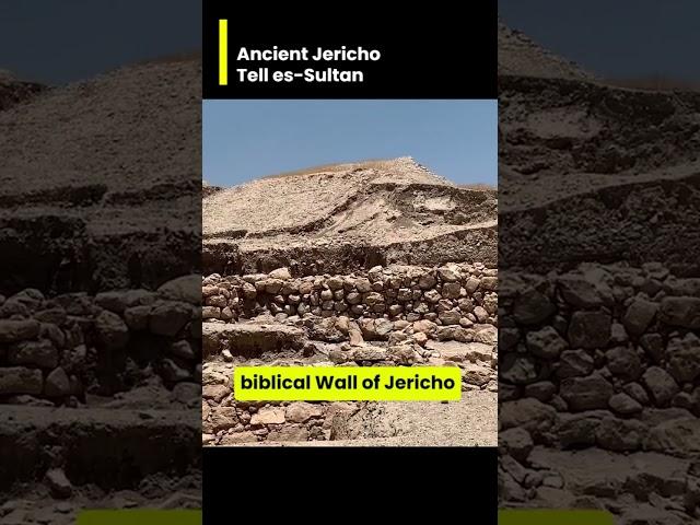 Ancient Jericho Tell es-Sultan -  Ancient Jericho: Unearthing Millennia of History  Step into the