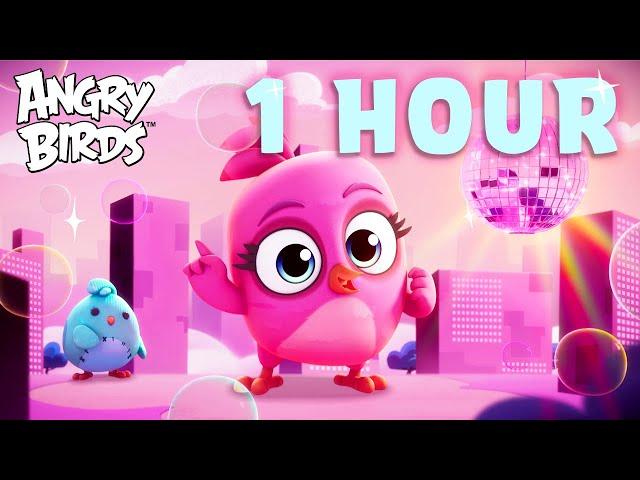 One Hour of Stella! | Angry Birds Adventure