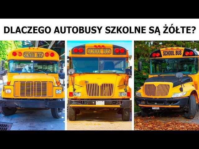 Dlaczego amerykańskie autobusy szkolne są żółte?