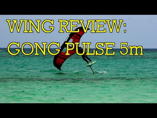 Wing Review: Gong Pulse 5m