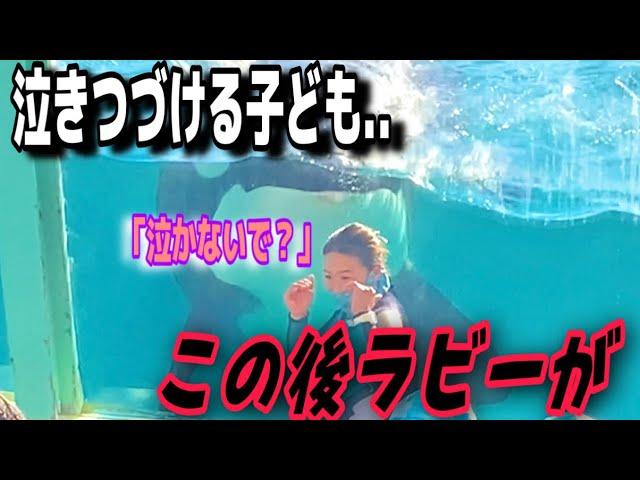 泣き止まない子どもにシャチが..　鴨川シーワールド　ラビー