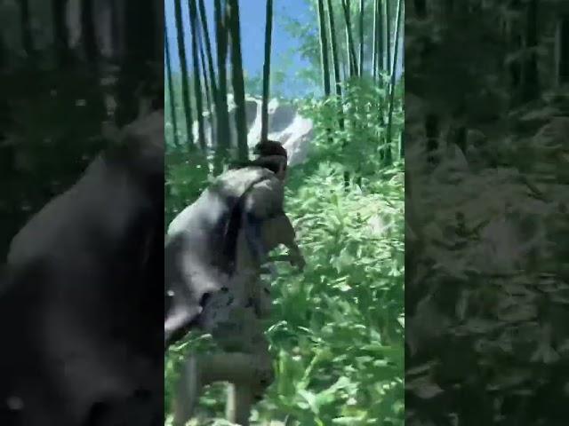 Bamboo Forest Battle: Epic Sword Fight!