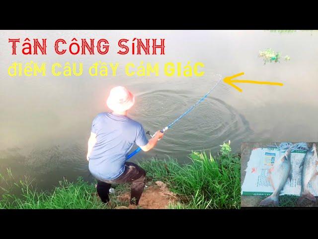 cám chuyên tra Huỳnh Dương đã test thành công 2 con hugo#fishing