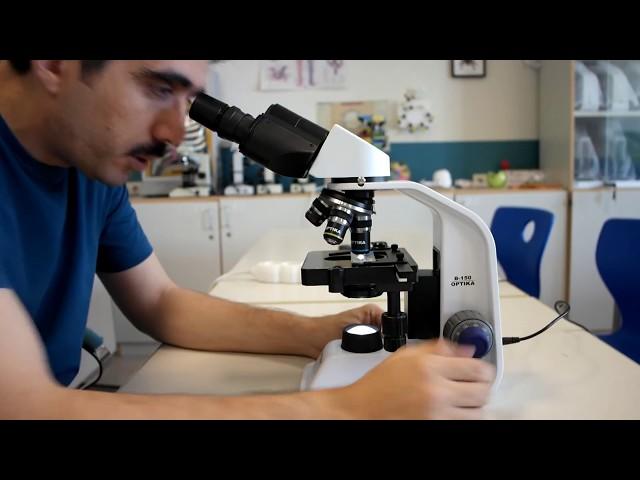 How to use a light microscope; Basic Guidelines