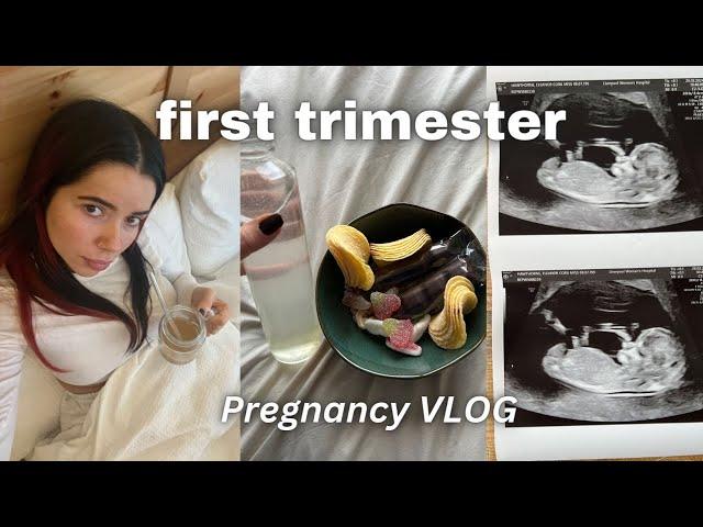 FIRST TRIMESTER PREGNANCY VLOG - (very honest)