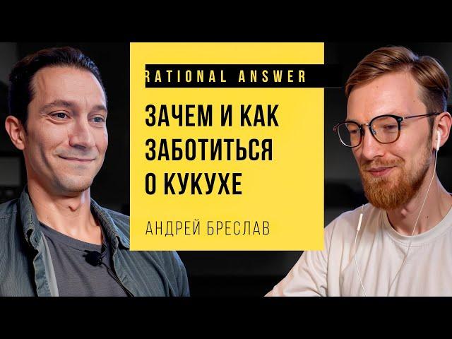 Андрей Бреслав — Психотерапия для айтишника, и не только [RationalAnswer]