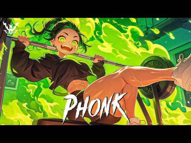 THE MOST INSANE PHONK MUSIC 2024 ※ BEST GYM PHONK ※ GYM, HOUSE, DRIFT ※ Фонка 2024 #013