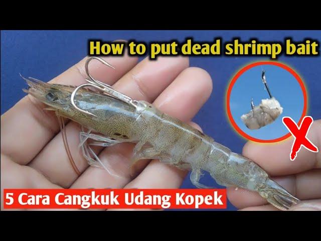 Begini Cara Benar menCangkuk Udang kopek