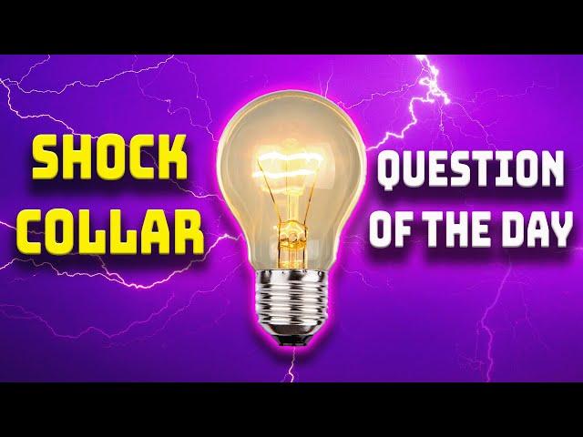 Julia Louis Dreyfus Trivia - Ep. 1041 (Shock Collar Question) | Brooke and Jeffrey
