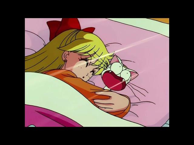 *FREE* glaive type beat x hyperpop type beat - "donkey in a skirt"