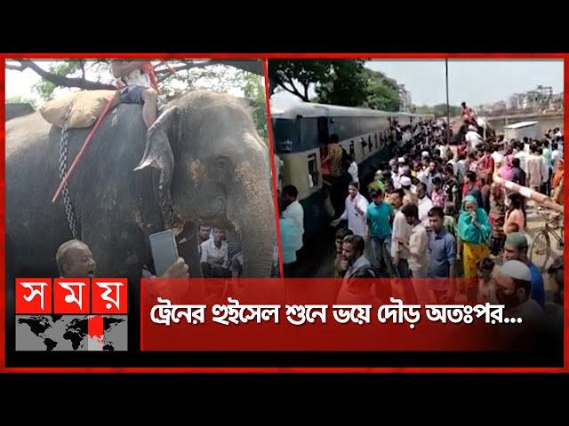 রাজধানীতে ট্রেনে কা-টা পড়ে পোষা হাতির মৃ-ত্যু | Elephant Incident | Dhaka News | Somoy TV