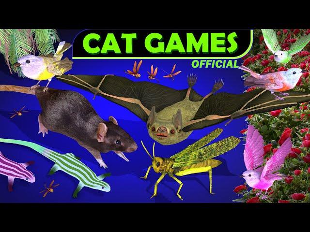 CAT TV - CAT FAVORITE GAMES FOR CATS - CATS ENTERTAINMENT VIDEO FOR CATS TO WATCH.