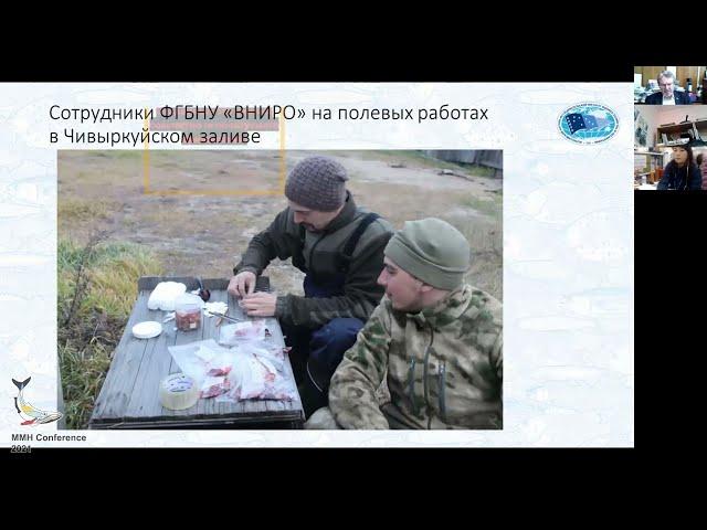 Ткачёв Валентин "Половозрастная структура популяции байкальской нерпы 2019-2020 гг."