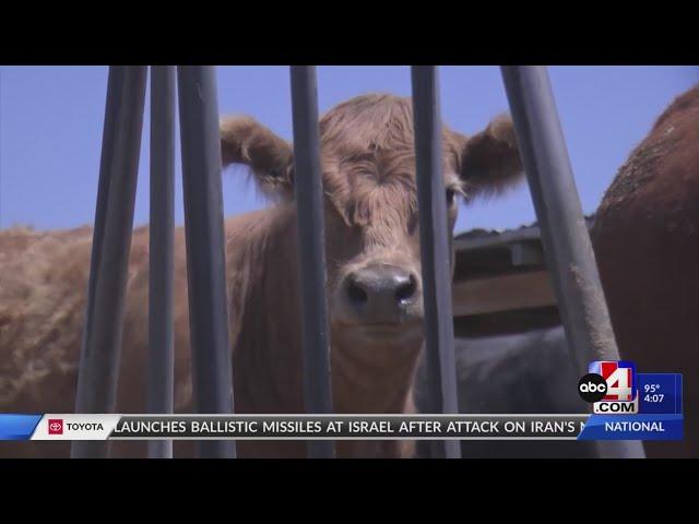Weber County farmers hope to see immigration reform for agriculture workers