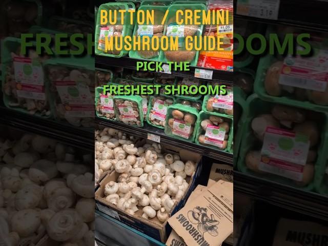 ‍🟫How to Pick the Freshest Mushrooms in the Grocery Store!  Button / Cremini Mushroom Guide