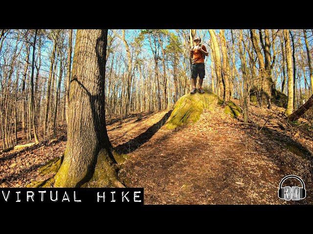 Morning Keebler Hike | 4k Virtual Hike with Binaural 3D Audio #StayHome #WithMe