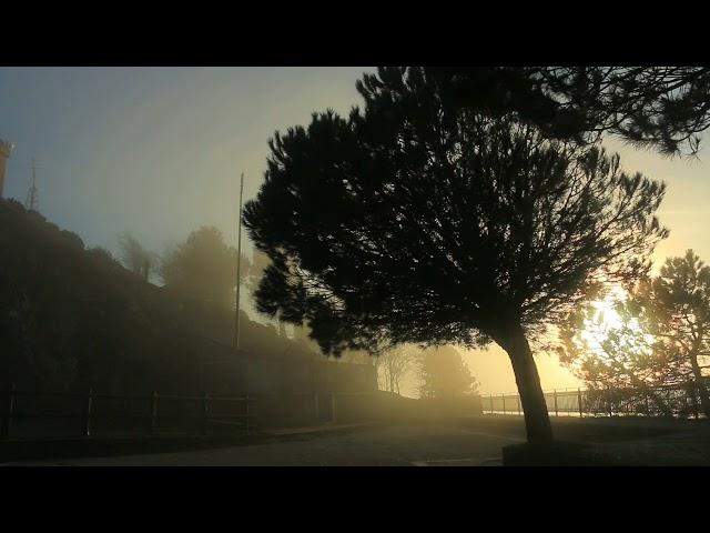 Nebbia sui Colli Sarrizzo.