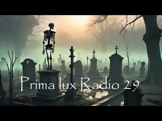 PRIMA LUX RADIO 29 - Immersive Ambient Journeys for Sunrise