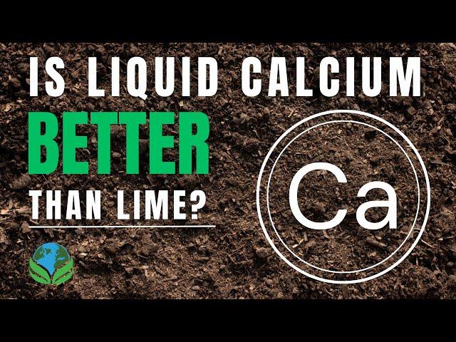 Why liquid calcium is more effective than lime | Calcium in the soil