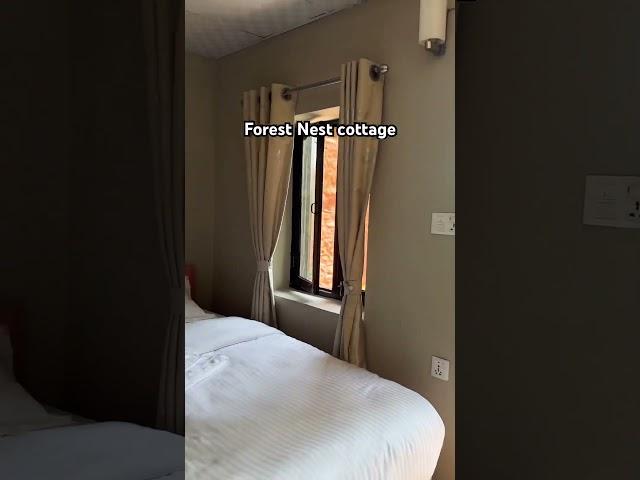 Forest Nest cottage #naturalphotography #pleasesubscribe #support #pokharanepal @BizayG