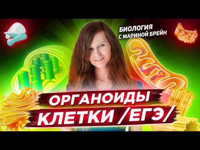 ВСЕ ОРГАНОИДЫ | ЕГЭ ПО БИОЛОГИИ